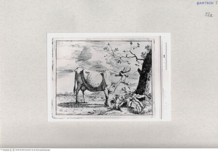 Vorderseite von  [http://creativecommons.org/publicdomain/mark/1.0/] ... - , bh286746. Foto.