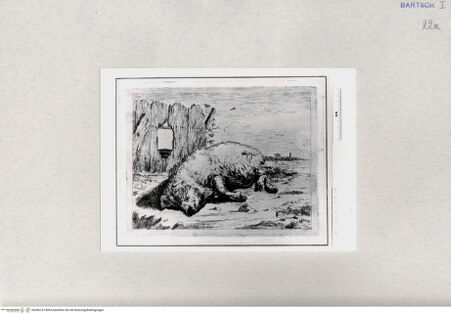 Vorderseite von  [http://creativecommons.org/publicdomain/mark/1.0/] ... - , bh286747. Foto.