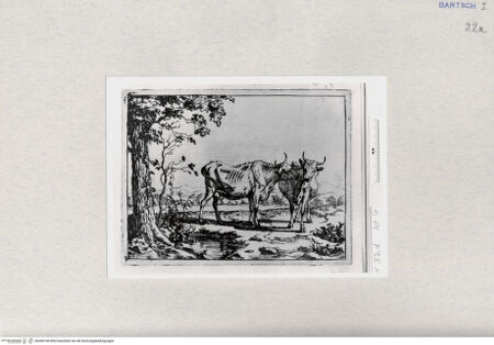 Vorderseite von  [http://creativecommons.org/publicdomain/mark/1.0/] ... - , bh286748. Foto.