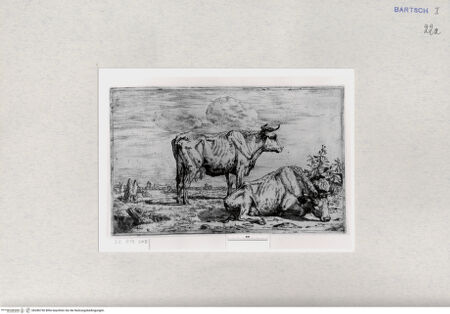 Vorderseite von  [http://creativecommons.org/publicdomain/mark/1.0/] ... - , bh286750. Foto.