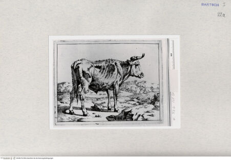 Vorderseite von  [http://creativecommons.org/publicdomain/mark/1.0/] ... - , bh286752. Foto.