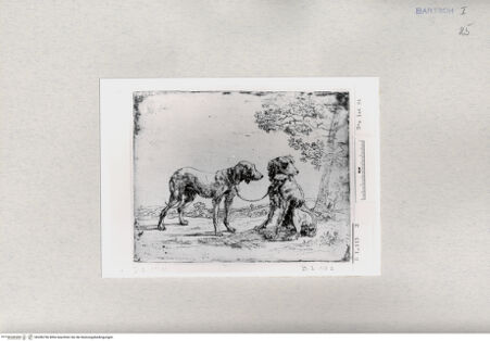 Vorderseite von  [http://creativecommons.org/publicdomain/mark/1.0/] ... - , bh286756. Foto.