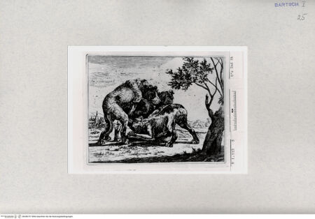 Vorderseite von  [http://creativecommons.org/publicdomain/mark/1.0/] ... - , bh286757. Foto.