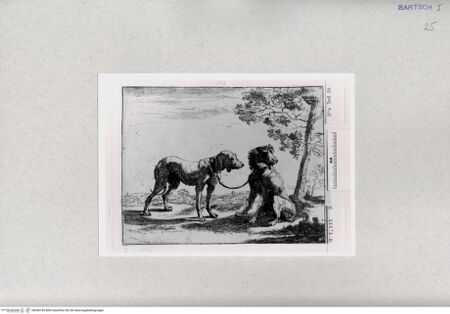 Vorderseite von  [http://creativecommons.org/publicdomain/mark/1.0/] ... - , bh286759. Foto.