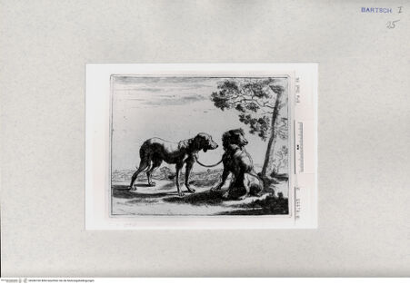 Vorderseite von  [http://creativecommons.org/publicdomain/mark/1.0/] ... - , bh286760. Foto.