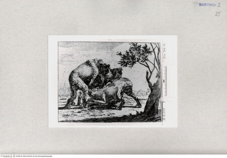 Vorderseite von  [http://creativecommons.org/publicdomain/mark/1.0/] ... - , bh286761. Foto.