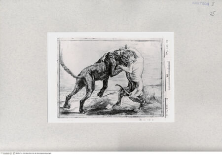 Vorderseite von  [http://creativecommons.org/publicdomain/mark/1.0/] ... - , bh286764. Foto.