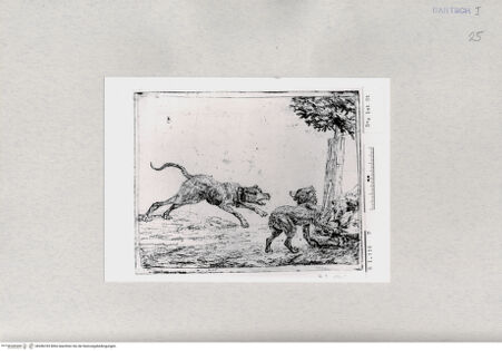 Vorderseite von  [http://creativecommons.org/publicdomain/mark/1.0/] ... - , bh286765. Foto.