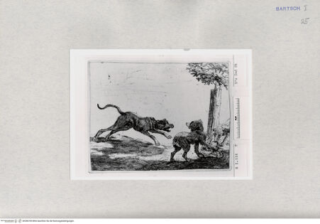 Vorderseite von  [http://creativecommons.org/publicdomain/mark/1.0/] ... - , bh286769. Foto.