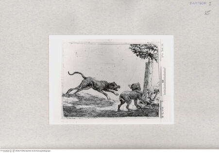 Vorderseite von  [http://creativecommons.org/publicdomain/mark/1.0/] ... - , bh286770. Foto.