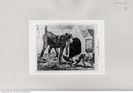 Vorderseite von  [http://creativecommons.org/publicdomain/mark/1.0/] ... - , bh286771. Foto.