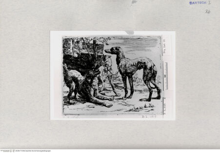 Vorderseite von  [http://creativecommons.org/publicdomain/mark/1.0/] ... - , bh286773. Foto.