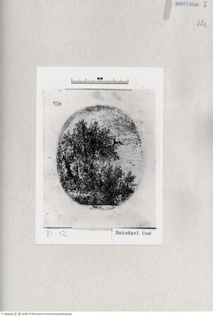 Vorderseite von  [http://creativecommons.org/publicdomain/mark/1.0/] ... - , bh286778. Foto.