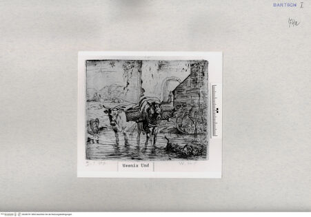 Vorderseite von  [http://creativecommons.org/publicdomain/mark/1.0/] ... - , bh286781. Foto.