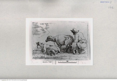 Vorderseite von  [http://creativecommons.org/publicdomain/mark/1.0/] ... - , bh286797. Foto.