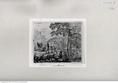 Vorderseite von  [http://creativecommons.org/publicdomain/mark/1.0/] ... - , bh286801. Foto.