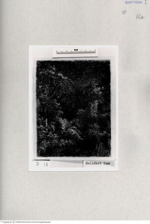 Vorderseite von  [http://creativecommons.org/publicdomain/mark/1.0/] ... - , bh286804. Foto.