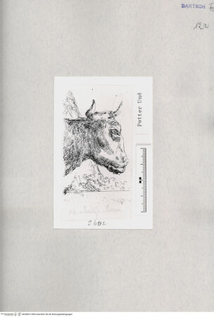 Vorderseite von  [http://creativecommons.org/publicdomain/mark/1.0/] ... - , bh286812. Foto.