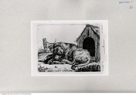 Vorderseite von  [http://creativecommons.org/publicdomain/mark/1.0/] ... - , bh286815. Foto.