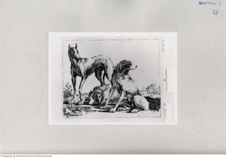 Vorderseite von  [http://creativecommons.org/publicdomain/mark/1.0/] ... - , bh286816. Foto.