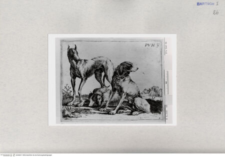 Vorderseite von  [http://creativecommons.org/publicdomain/mark/1.0/] ... - , bh286817. Foto.