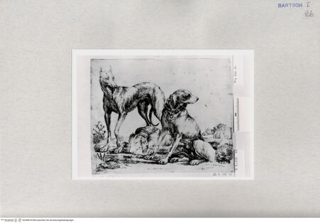 Vorderseite von  [http://creativecommons.org/publicdomain/mark/1.0/] ... - , bh286818. Foto.