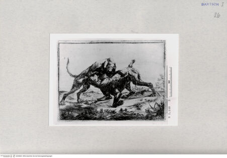 Vorderseite von  [http://creativecommons.org/publicdomain/mark/1.0/] ... - , bh286821. Foto.