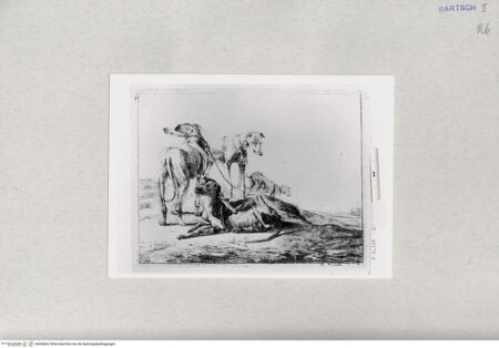 Vorderseite von  [http://creativecommons.org/publicdomain/mark/1.0/] ... - , bh286822. Foto.