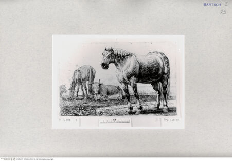 Vorderseite von  [http://creativecommons.org/publicdomain/mark/1.0/] ... - , bh286826. Foto.