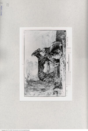 Vorderseite von  [http://creativecommons.org/publicdomain/mark/1.0/] ... - , bh286827. Foto.