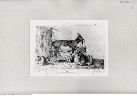 Vorderseite von  [http://creativecommons.org/publicdomain/mark/1.0/] ... - , bh286828. Foto.