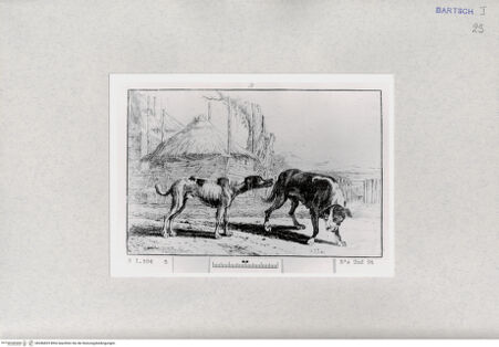 Vorderseite von  [http://creativecommons.org/publicdomain/mark/1.0/] ... - , bh286829. Foto.