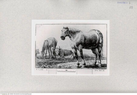 Vorderseite von  [http://creativecommons.org/publicdomain/mark/1.0/] ... - , bh286831. Foto.