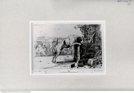 Vorderseite von  [http://creativecommons.org/publicdomain/mark/1.0/] ... - , bh286832. Foto.