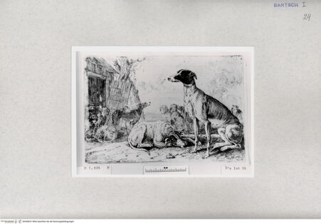 Vorderseite von  [http://creativecommons.org/publicdomain/mark/1.0/] ... - , bh286837. Foto.