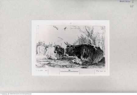 Vorderseite von  [http://creativecommons.org/publicdomain/mark/1.0/] ... - , bh286839. Foto.