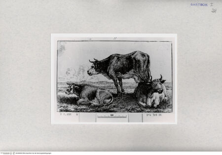 Vorderseite von  [http://creativecommons.org/publicdomain/mark/1.0/] ... - , bh286840. Foto.