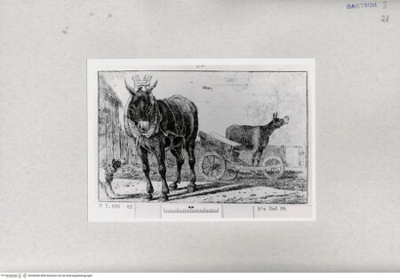 Vorderseite von  [http://creativecommons.org/publicdomain/mark/1.0/] ... - , bh286846. Foto.