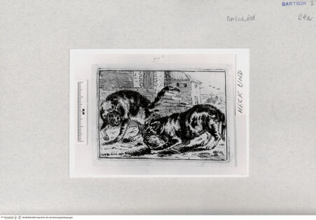 Vorderseite von  [http://creativecommons.org/publicdomain/mark/1.0/] ... - , bh286848. Foto.