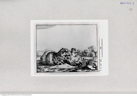 Vorderseite von  [http://creativecommons.org/publicdomain/mark/1.0/] ... - , bh286850. Foto.