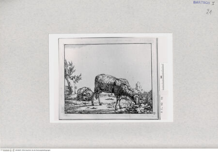 Vorderseite von  [http://creativecommons.org/publicdomain/mark/1.0/] ... - , bh286851. Foto.