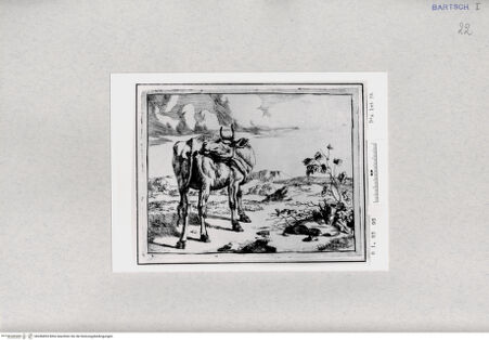 Vorderseite von  [http://creativecommons.org/publicdomain/mark/1.0/] ... - , bh286855. Foto.