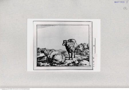 Vorderseite von  [http://creativecommons.org/publicdomain/mark/1.0/] ... - , bh286857. Foto.