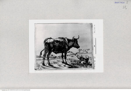 Vorderseite von  [http://creativecommons.org/publicdomain/mark/1.0/] ... - , bh286858. Foto.