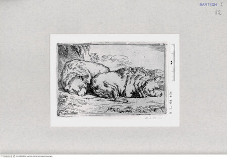 Vorderseite von  [http://creativecommons.org/publicdomain/mark/1.0/] ... - , bh286860. Foto.