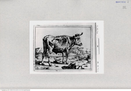 Vorderseite von  [http://creativecommons.org/publicdomain/mark/1.0/] ... - , bh286862. Foto.