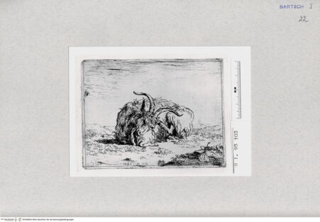 Vorderseite von  [http://creativecommons.org/publicdomain/mark/1.0/] ... - , bh286863. Foto.