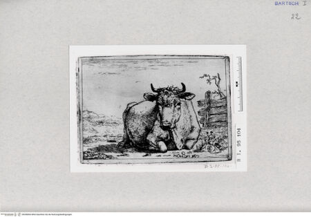 Vorderseite von  [http://creativecommons.org/publicdomain/mark/1.0/] ... - , bh286864. Foto.