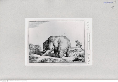 Vorderseite von  [http://creativecommons.org/publicdomain/mark/1.0/] ... - , bh286868. Foto.