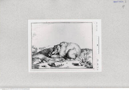 Vorderseite von  [http://creativecommons.org/publicdomain/mark/1.0/] ... - , bh286869. Foto.